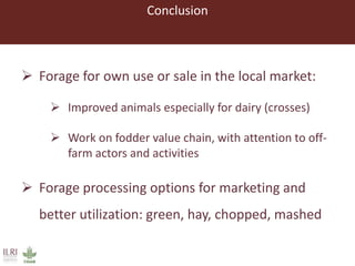 Lessons from pilot trials with small-scale irrigated forage production in the Amhara Region: Potential of integrating the perennial forage Napier grass with Desmodium and Pigeon Pea in cropping systems