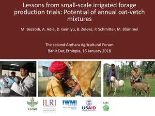 Lessons from small-scale irrigated forage
production trials: Potential of annual oat-vetch
mixtures
M. Bezabih, A. Adie, D. Gemiyu, B. Zeleke, P. Schmitter, M. Blümmel
The second Amhara Agricultural Forum
Bahir Dar, Ethiopia, 16 January 2018
SARI
 