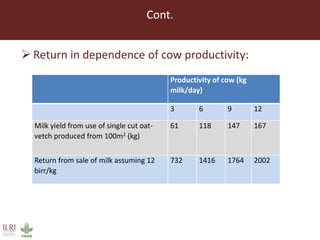 Lessons from small-scale irrigated forage production trials: Potential of annual oat-vetch mixtures