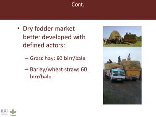 Lessons from small-scale irrigated forage production trials: Potential of annual oat-vetch mixtures