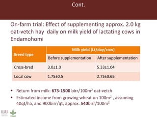 Lessons from small-scale irrigated forage production trials: Potential of annual oat-vetch mixtures