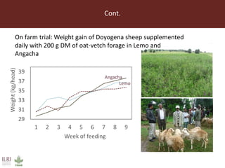 Lessons from small-scale irrigated forage production trials: Potential of annual oat-vetch mixtures