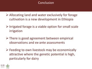 Lessons from small-scale irrigated forage production trials: Potential of annual oat-vetch mixtures