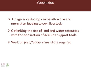 Lessons from small-scale irrigated forage production trials: Potential of annual oat-vetch mixtures
