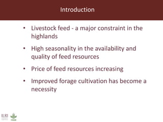 Lessons from small-scale irrigated forage production trials: Potential of annual oat-vetch mixtures
