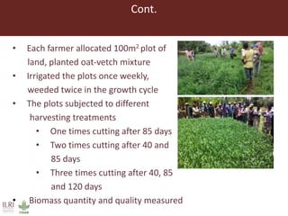 Lessons from small-scale irrigated forage production trials: Potential of annual oat-vetch mixtures