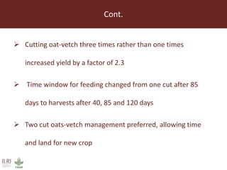 Lessons from small-scale irrigated forage production trials: Potential of annual oat-vetch mixtures