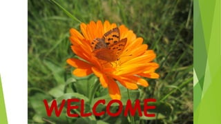 WELCOME 1
 