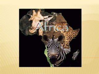 Aafrica