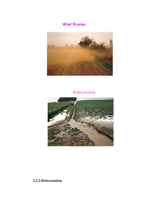 Wind Erosion
Water erosion
2.2.2.Deforestation
 