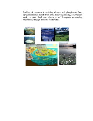fertilizer & manures (containing nitrates and phosphates) from
agricultural lands, runoff from areas following mining, construction
work or poor land use, discharge of detergents (containing
phosphates) through domestic wastewater.
 