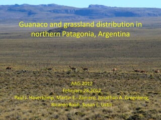 Guanaco and grassland distribution in
    northern Patagonia, Argentina




                         AAG 2012
                     February 28,2012
Paul J. Haverkamp, Martin E. Zamero, Jonathan A. Greenberg,
                Ricardo Baldi, Susan L. Ustin
 
