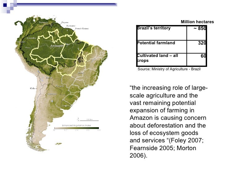 Does growing soy destroy Amazon rainforest?