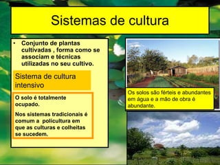 Sistemas de cultura Conjunto de plantas cultivadas , forma como se associam e técnicas utilizadas no seu cultivo. Sistema de cultura intensivo O solo é totalmente ocupado. Nos sistemas tradicionais é comum a  policultura em que as culturas e colheitas se sucedem. Os solos são férteis e abundantes em água e a mão de obra é abundante. 