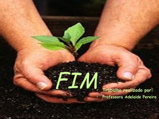 FIM Trabalho realizado por: Professora Adelaide Pereira 