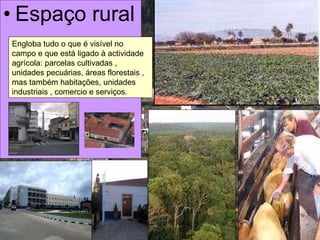 Espaço rural Engloba tudo o que é visível no campo e que está ligado à actividade agrícola: parcelas cultivadas , unidades pecuárias, áreas florestais , mas também habitações, unidades industriais , comercio e serviços. 