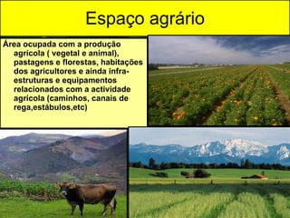 Espaço agrário Área ocupada com a produção agrícola ( vegetal e animal), pastagens e florestas, habitações dos agricultores e ainda infra-estruturas e equipamentos relacionados com a actividade agrícola (caminhos, canais de rega,estábulos,etc) 