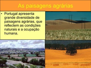 As paisagens agrárias Portugal apresenta grande diversidade de paisagens agrárias, que reflectem as condições naturais e a ocupação humana. 