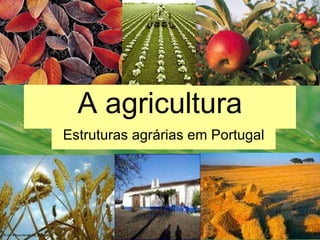 A agricultura Estruturas agrárias em Portugal 