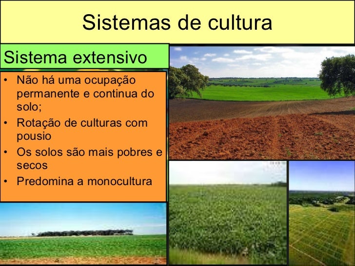 Diferencie Os Modelos Agrícolas Intensivos E Extensivos Exemplificando Os