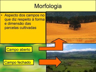 Morfologia Aspecto dos campos no que diz respeito à forma e dimensão das parcelas cultivadas Campo aberto Campo fechado 