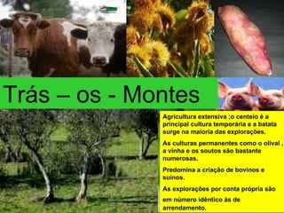 Agricultura extensiva ;o centeio é a principal cultura temporária e a batata surge na maioria das explorações. As culturas permanentes como o olival , a vinha e os soutos são bastante numerosas. Predomina a criação de bovinos e suínos. As explorações por conta própria são em número idêntico ás de   arrendamento. Trás – os - Montes 