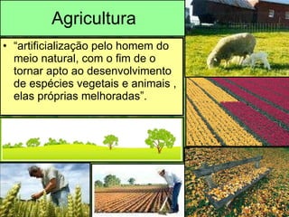 Agricultura “ artificialização pelo homem do meio natural, com o fim de o tornar apto ao desenvolvimento de espécies vegetais e animais , elas próprias melhoradas”. 