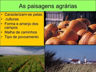 As paisagens agrárias Caracterizam-se pelas: culturas Forma e arranjo dos campos Malha de caminhos Tipo de povoamento 