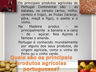 Os principais produtos agrícolas de Portugal Continental são : as batatas, os cereais (arroz, milho, centeio e trigo), as frutas (laranja, pêra, maçã e figo), o azeite e o vinho.Na Madeira produz – se principalmente  a banana e a cana – de – açúcar. Nos Açores é famoso o ananás.Portugal é conhecido mundialmente por alguns dos seus produtos, de origem agrícola, como o vinho do Porto ou o vinho verde.Quais são os principais   produtos agrícolas portugueses?