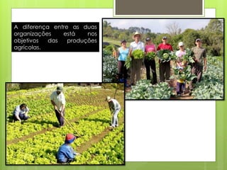 A diferença entre as duas organizações está nos objetivos das produções agrícolas.  
