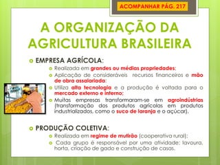 A ORGANIZAÇÃO DA AGRICULTURA BRASILEIRA 
EMPRESA AGRÍCOLA: 
Realizada em grandes ou médias propriedades; 
Aplicação de consideráveis recursos financeiros e mão de obra assalariada; 
Utiliza alta tecnologia e a produção é voltada para o mercado externo e interno; 
Muitas empresas transformaram-se em agroindústrias (transformação dos produtos agrícolas em produtos industrializados, como o suco de laranja e o açúcar). 
PRODUÇÃO COLETIVA: 
Realizada em regime de mutirão (cooperativa rural); 
 Cada grupo é responsável por uma atividade: lavoura, horta, criação de gado e construção de casas. 
ACOMPANHAR PÁG. 217  
