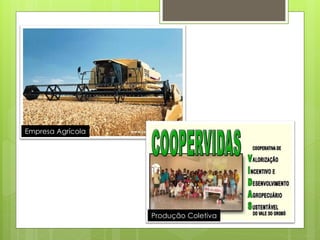 Empresa Agrícola 
Produção Coletiva  