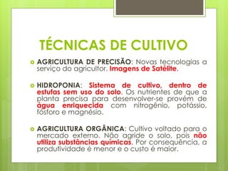 TÉCNICAS DE CULTIVO 
AGRICULTURA DE PRECISÃO: Novas tecnologias a serviço do agricultor. Imagens de Satélite. 
HIDROPONIA: Sistema de cultivo, dentro de estufas sem uso do solo. Os nutrientes de que a planta precisa para desenvolver-se provém de água enriquecida com nitrogênio, potássio, fósforo e magnésio. 
AGRICULTURA ORGÂNICA: Cultivo voltado para o mercado externo. Não agride o solo, pois não utiliza substâncias químicas. Por consequência, a produtividade é menor e o custo é maior.  