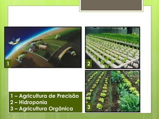 1 
2 
3 
1 – Agricultura de Precisão 
2 – Hidroponia 
3 – Agricultura Orgânica 