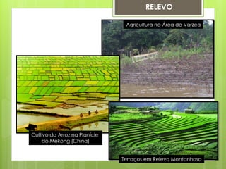 RELEVO 
Cultivo do Arroz na Planície do Mekong (China) 
Agricultura na Área de Várzea 
Terraços em Relevo Montanhoso  