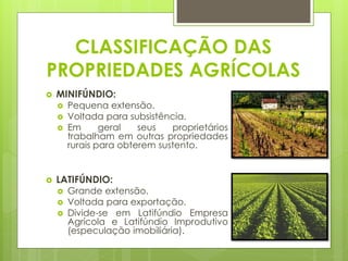 CLASSIFICAÇÃO DAS PROPRIEDADES AGRÍCOLAS 
MINIFÚNDIO: 
Pequena extensão. 
Voltada para subsistência. 
Em geral seus proprietários trabalham em outras propriedades rurais para obterem sustento. 
LATIFÚNDIO: 
Grande extensão. 
Voltada para exportação. 
Divide-se em Latifúndio Empresa Agrícola e Latifúndio Improdutivo (especulação imobiliária).  