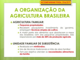 A ORGANIZAÇÃO DA AGRICULTURA BRASILEIRA 
AGRICULTURA FAMILIAR: 
Pequenas propriedades; 
Recebem pouquíssimo investimento do governo, empregam técnicas simples de cultivo. 
A maior parte dos alimentos que abastecem a mesa dos brasileiros vem das pequenas propriedades. São responsáveis por mais de 50% da produção agrícola. 
UNIDADE FAMILIAR DE SUBSISTÊNCIA: 
Realizada em minifúndios; 
Uso de técnicas tradicionais e mão de obra familiar; 
Tem por objetivo atender as necessidades alimentares da família. 
ACOMPANHAR PÁGs. 216/217  
