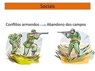 Conflitos armandos Abandono dos campos
Sociais
 