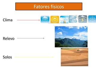 Fatores físicos
Clima
Relevo
Solos
 