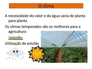 O clima
A necessidade do calor e da água varia de planta
para planta
Os climas temperados são os melhores para a
agricultura
Solução:
Utilização de estufas
 