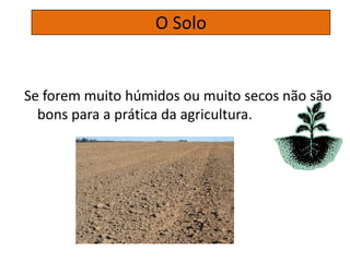 Se forem muito húmidos ou muito secos não são
bons para a prática da agricultura.
O Solo
 
