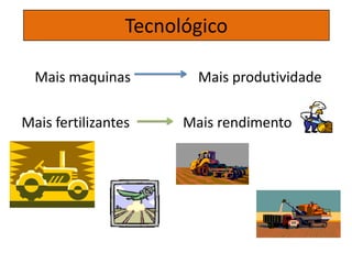Mais maquinas Mais produtividade
Mais fertilizantes Mais rendimento
Tecnológico
 
