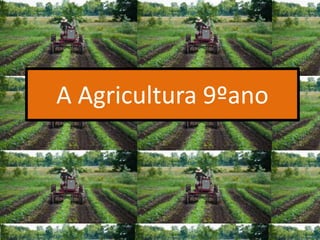 A Agricultura 9ºano
 