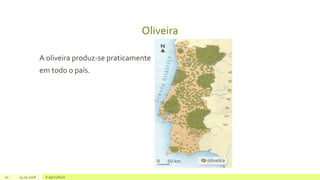 Oliveira
A oliveira produz-se praticamente
em todo o país.
10 14.05.2018 A agricultura
 