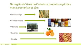 Na região deViana do Castelo os produtos agrícolas
mais característicos são:
• Milho e trigo
• Vinhos verdes
• Oliveira
• Laranja
• Batata
14 14.05.2018 A agricultura
 