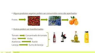 • Alguns produtos vegetais podem ser consumidos como são apanhados:
Frutos
• Outros podem ser transformados:
Tomate Concentrado de tomate
Uvas Vinho
Azeitonas Azeite
Laranja Sumo de laranja
15 14.05.2018 A agricultura
 