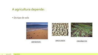 A agricultura depende:
• Do tipo de solo
4 14.05.2018 A agricultura
 