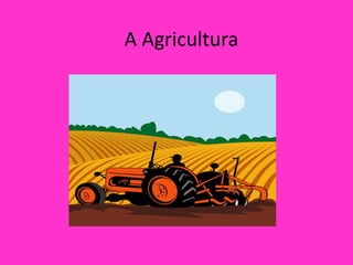A Agricultura
 