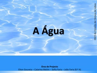 A Água EB23 do Estreito de Câmara de Lobos Área de Projecto Elton Gouveia – Catarina Melim – Sofia Faria – João Faria (8.º A) 