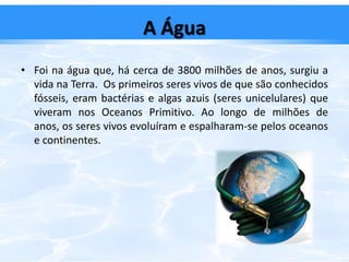 Os tipos de poluição da água;